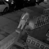 Video Shows Sleeping Man Getting Robbed On Brooklyn Stoop